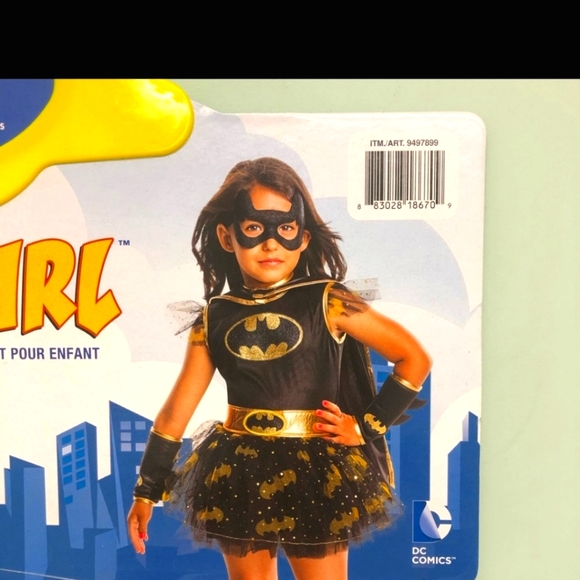 Other - Bat girl costume